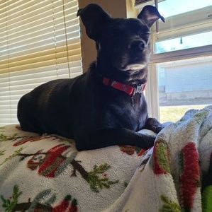 Meet your Posher, Leslie